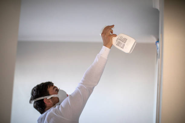 Best Residential Mold Remediation in Sumner, IL