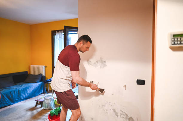 Best Localized Mold Remediation (e.g., coastal areas, humid climates) in Sumner, IL